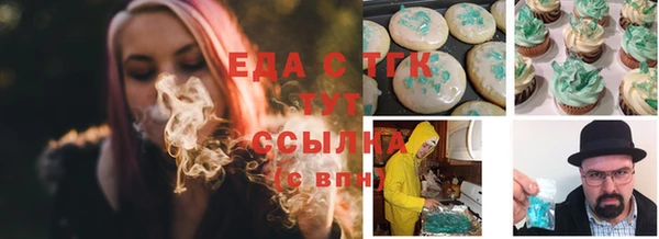 индика Ростов