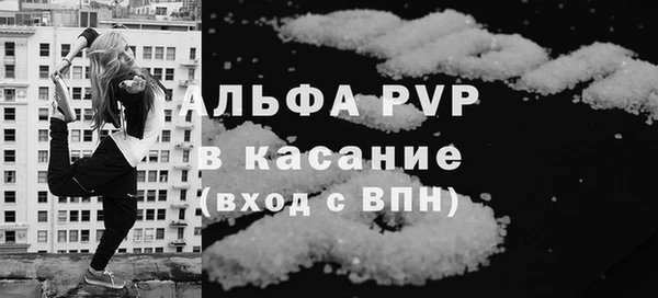 индика Ростов