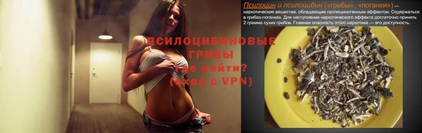 винт Рославль