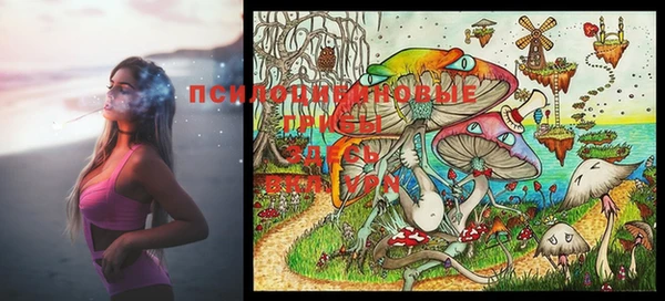 индика Ростов