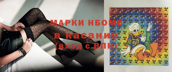 индика Ростов