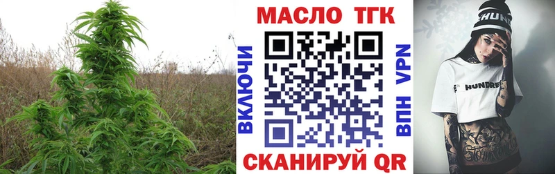 Купить закладки  Суздаль  ТГК гашишное масло 